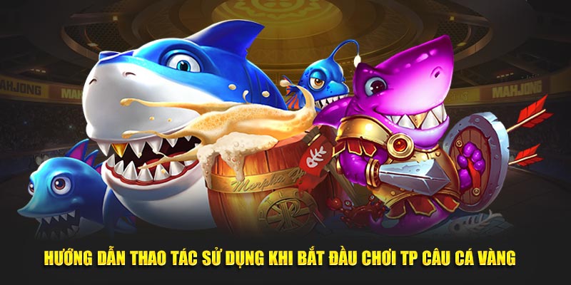 Huong-dan-thao-tac-su-dung-khi-bat-dau-choi-TP-cau-ca-vang