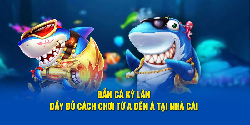 ban-ca-ky-lan-day-du-cach-choi-tu-a-den-a-tai-nha-cai