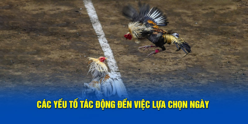 cac-yeu-to-tac-dong-den-viec-lua-chon-ngay