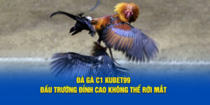 da-ga-c1-hubet-dau-truong-dinh-cao-khong-the-roi-mat