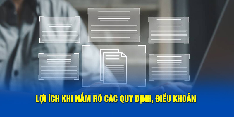 loi-ich-khi-nam-ro-cac-quy-dinh-dieu-khoan