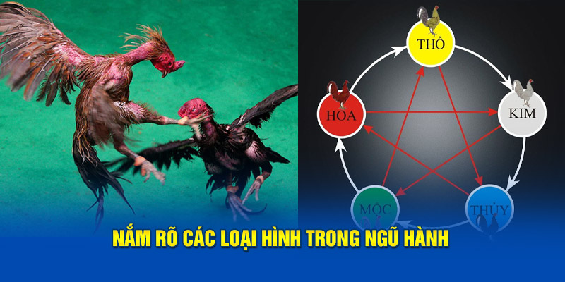 nam-ro-cac-loai-hinh-trong-ngu-hanh