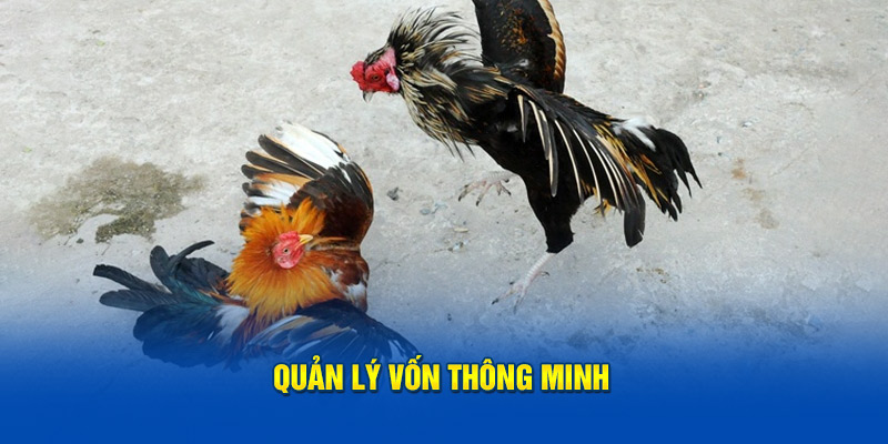 quan-ly-von-thong-minh