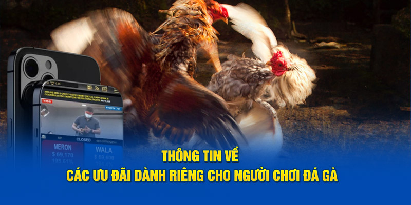 thong-tin-ve-cac-uu-dai-danh-rieng-cho-nguoi-choi-da-ga