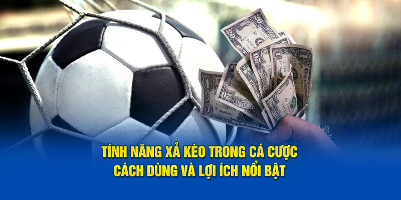 tinh-nang-xa-keo-trong-ca-cuoc-cach-dung-va-loi-ich-noi-bat