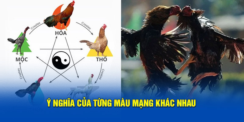 y-nghia-cua-tung-mau-mang-khac-nhau