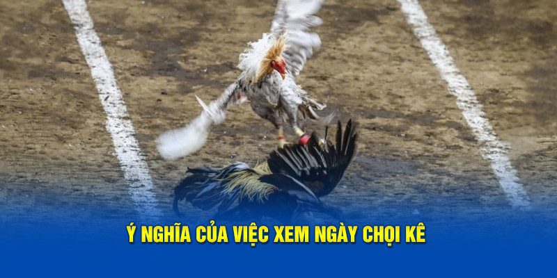 y-nghia-cua-viec-xem-ngay-choi-ke